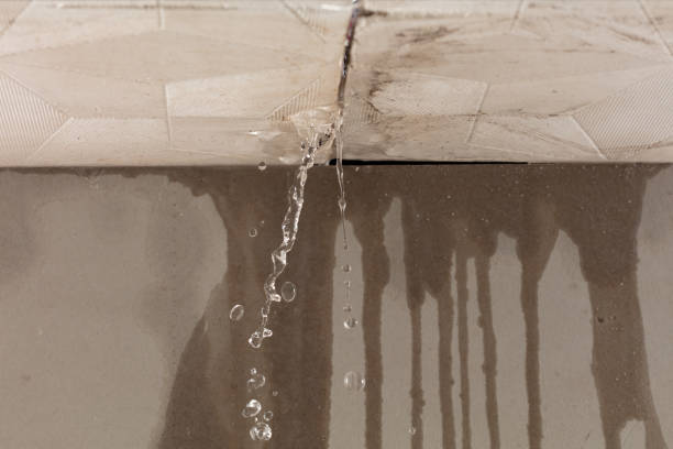 Professional Structural Drying technician working in West Pittsburg, PA